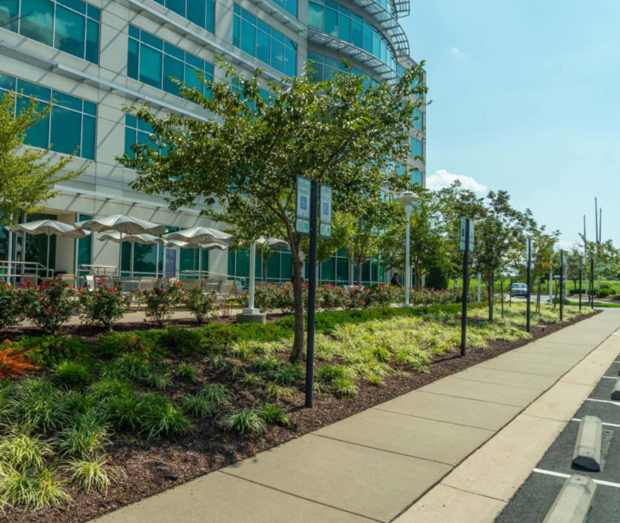 Landscaping, Concrete & Exterior Surfaces