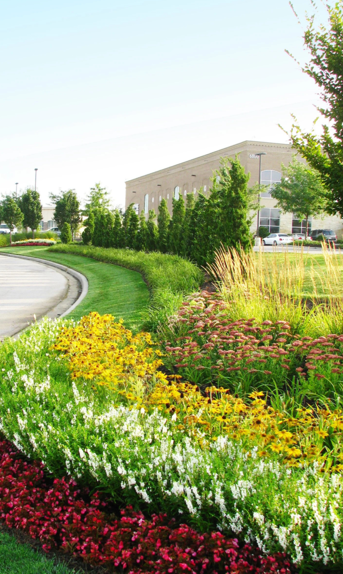 Landscaping, Concrete & Exterior Surfaces description